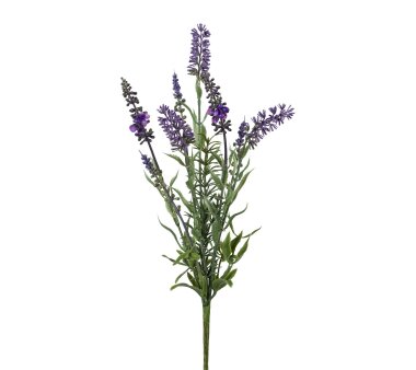 Kunstpflanze Lavendelbund, 5er Set, Farbe flieder,...