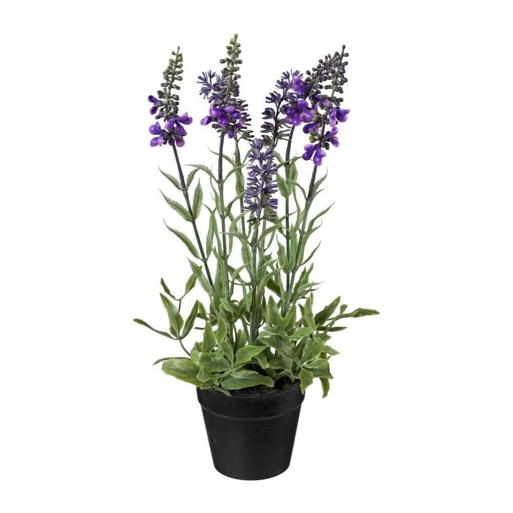 kaufen Flieder Kunstpflanze Set, / Lila 3er Lavendel,