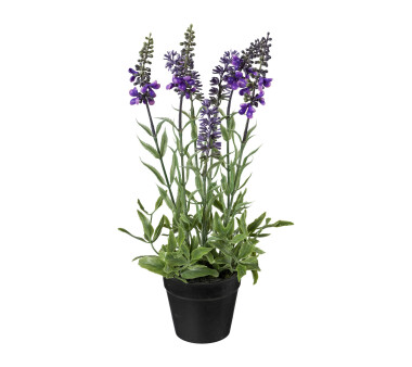 Kunstpflanze Lavendel, 3er Set, Farbe flieder, inkl....