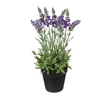 Kunstpflanze Lavendel, 2er Set, Farbe flieder, inkl....