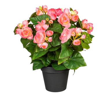 Kunstpflanze Begonienbusch, Farbe rosa, inkl. Topf,...