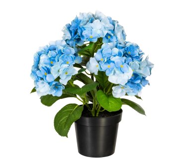 Kunstpflanze Hortensienbusch, Farbe blau, inkl. Topf,...