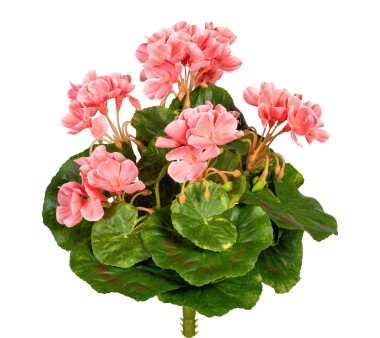Kunstpflanze Minigeranie, 3er Set, Farbe rosa, Höhe...