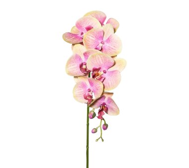 Kunstblume Phalenopsis, 3D-Print, 2er Set, Farbe...