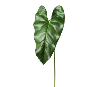 Kunstpflanze Anthurienblatt, 4er Set, Farbe grün,...