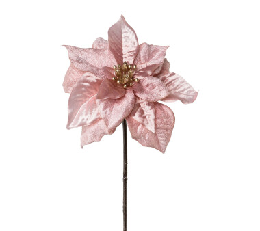 Kunstblume Poinsettie Velvet, 5er Set, Farbe rosa,...