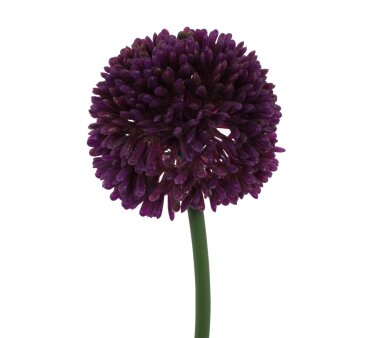 Kunstblume Allium, 12er Set, Farbe violett, Höhe ca....