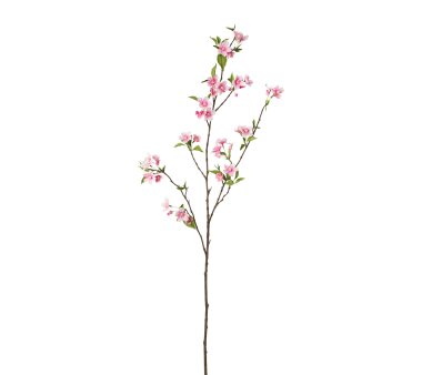 Künstlicher Blütenzweig, 6er Set, rosa, Höhe ca. 86 cm online kaufen