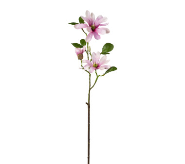 Kunstblume Sternmagnolie, 3er Set, rosa, Höhe ca. 60 cm