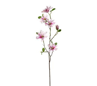 Kunstblume Sternmagnolie, 2er Set, rosa, Höhe ca. 86 cm
