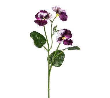 Kunstblume Protea, 3er Set, lila, Höhe ca. 48 cm online kaufen