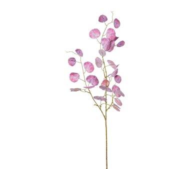 Kunstpflanze Eukalypthuszweig, 6er Set, Lila / Flieder kaufen