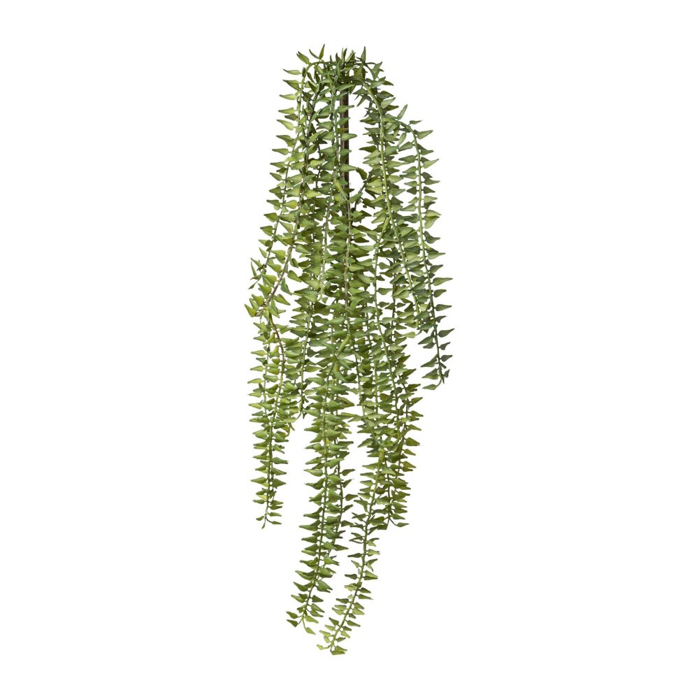Set, cm Höhe grün, kaufen ca. 61 online Kunstpflanze 2er Columnea-Hänger,