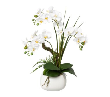 Kunstpflanze Phalenopsis (Orchidee) weiß, inklusive...