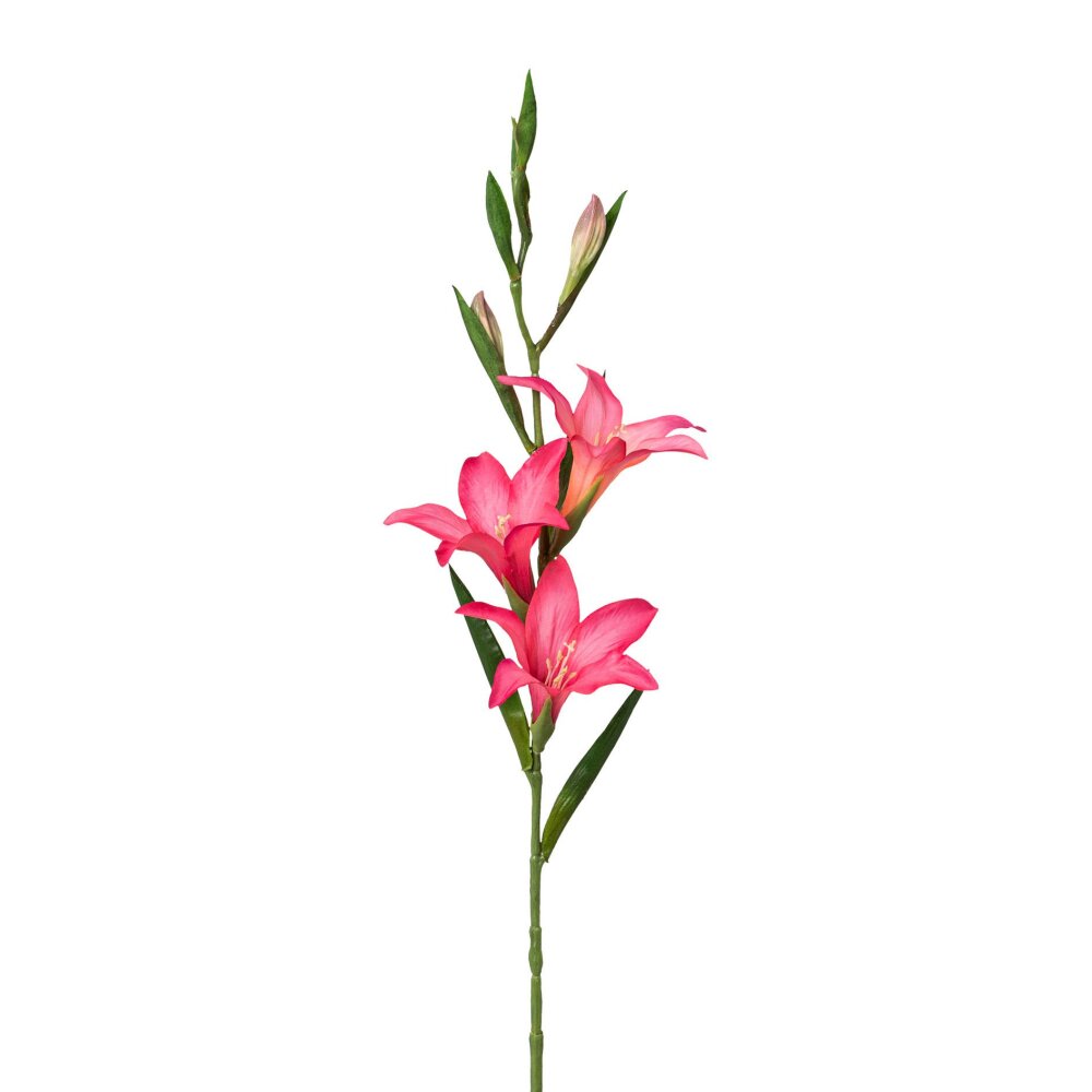 Kunstblume Gladiole, 3er Set, rosa, Höhe ca. 68 cm online kaufen