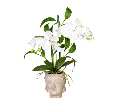 Kunstpflanze Orchideen-Bambus-Arrangement, grün, inklusive Zementtopf, Höhe  ca. 60 cm online kaufen