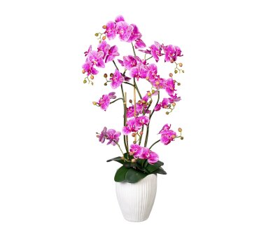 Kunstpflanze Phalaenopsis (Orchidee) lila / pink,...