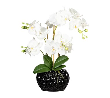 Kunstpflanze Phalaenopsis, weiß, inklusive...