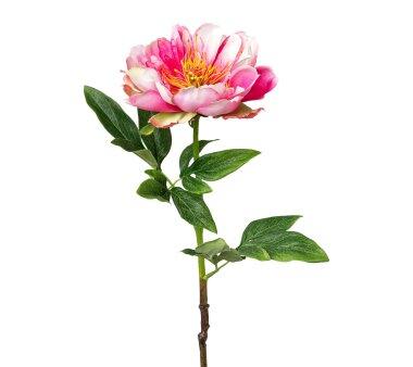 Kunstblume Peonie cerise, 4er, 58 cm | Wohnfuehlidee