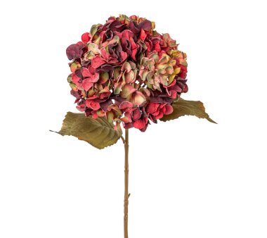 Kunstblume Hortensie, 2er Set, bunt, Höhe ca. 65 cm