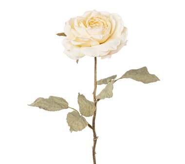 Kunstblume Rose, 3er Set, creme, Höhe ca. 56 cm