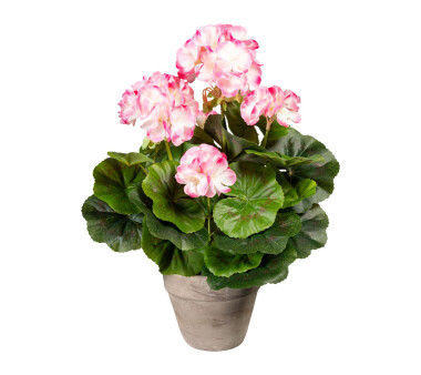 Kunstpflanze Geranienbusch, rosa / weiß, inklusive...