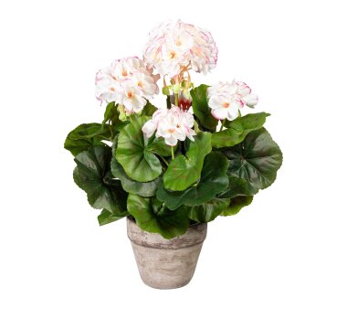 Kunstpflanze Geranienbusch, weiß / rosa, inklusive...