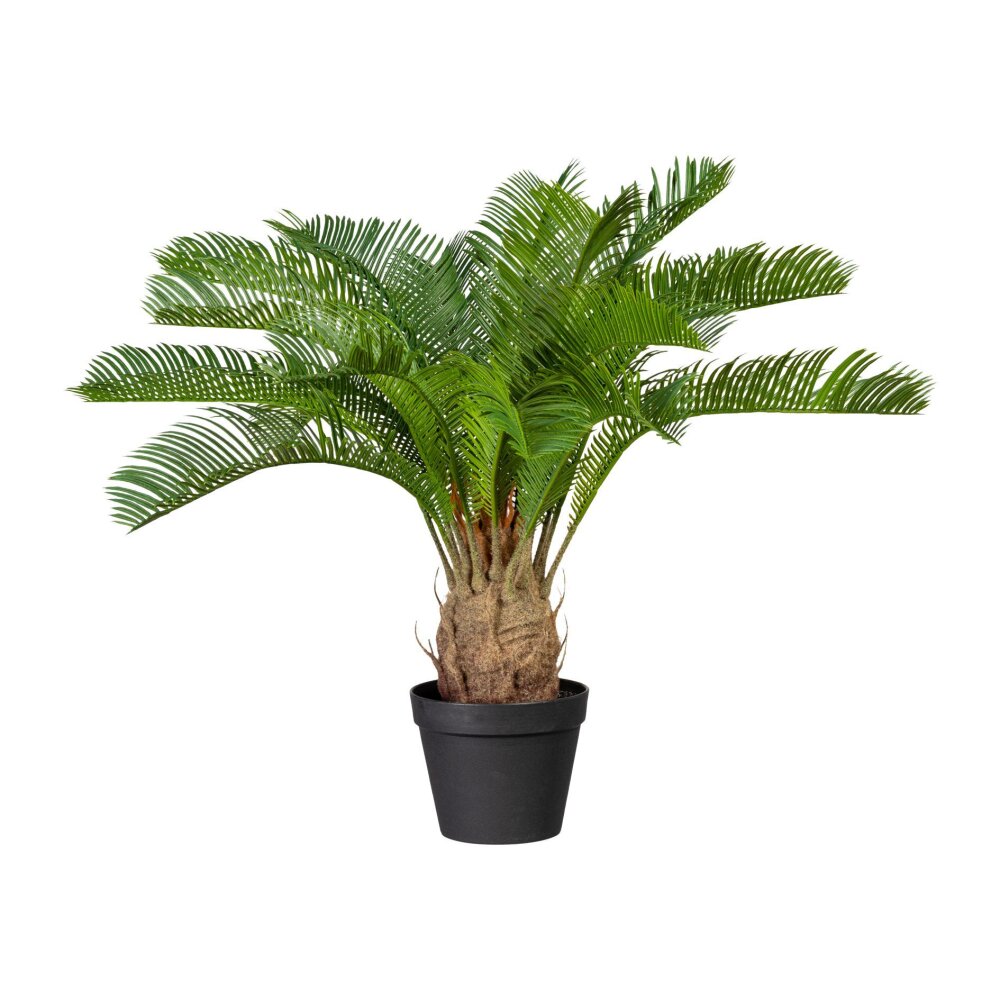 Kunstpflanze Cycaspalme, grün, inklusive Kunststoff-Topf, Höhe ca. 60 cm  online kaufen