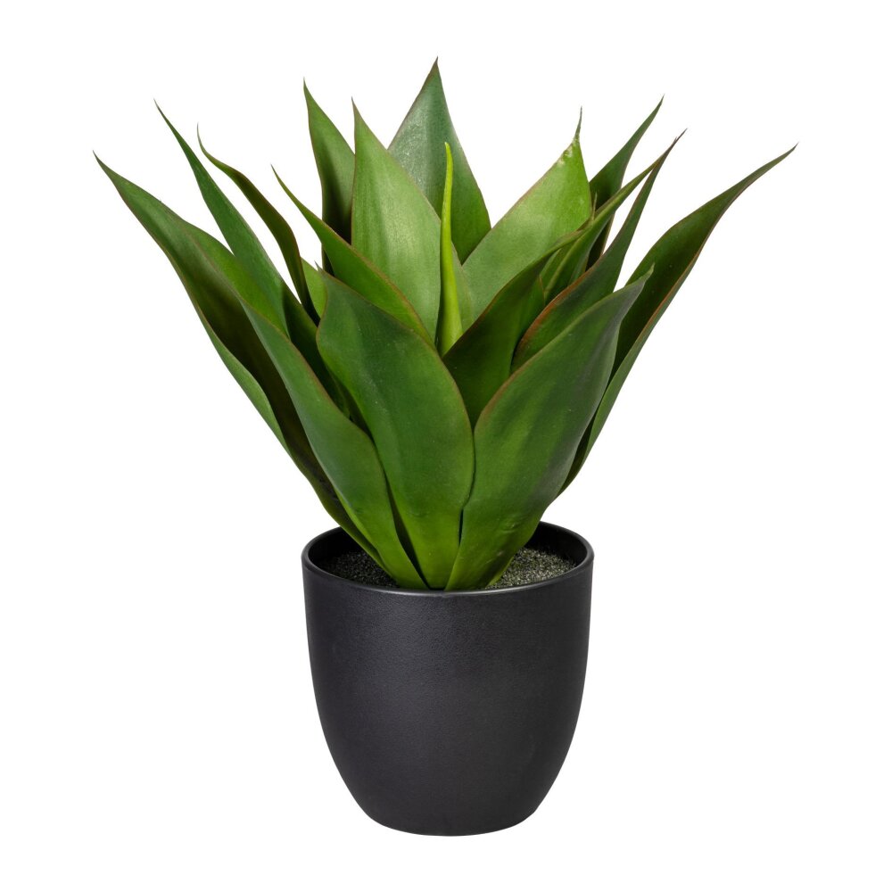 grün, kaufen Kunstpflanze online Kunststoff-Topf, Agave, ca. cm Höhe 36 inklusive
