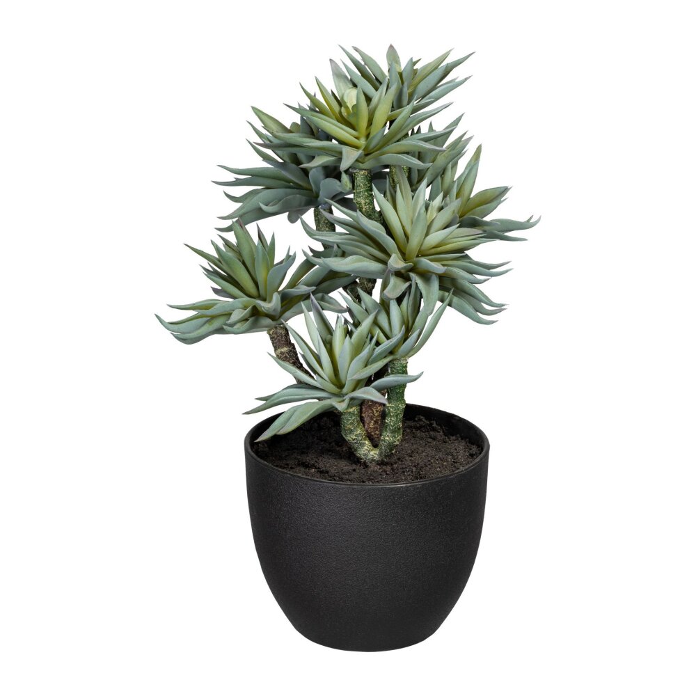 ca. grün Sukkulenten, grau, online Kunstpflanze Kunststoff-Topf, Höhe / 30 kaufen cm inklusive