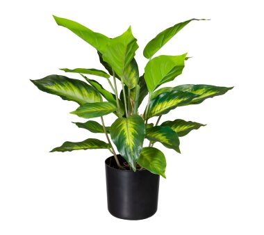 Kunstpflanze Zimmerpalme, grün, inklusive Kunststoff-Topf, Höhe ca. 70 cm  online kaufen