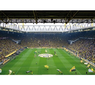 AS Creation Vlies-Fototapete BVB FAN CHOREO 119011, 8...