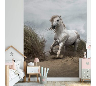 AS Creation Vlies-Fototapete WHITE WILD HORSE 119076, 4...