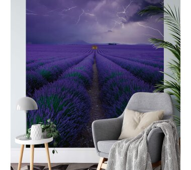 AS Creation Vlies-Fototapete FIELD OF LAVENDER 119090, 4...