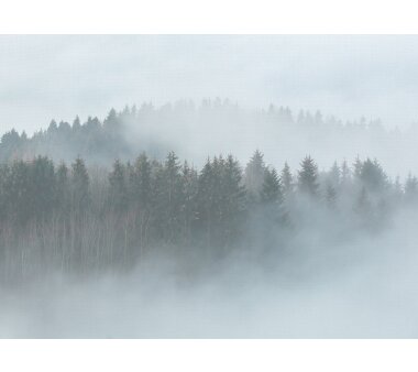 AS Creation Vlies-Fototapete MISTY FOREST 118604, 5...