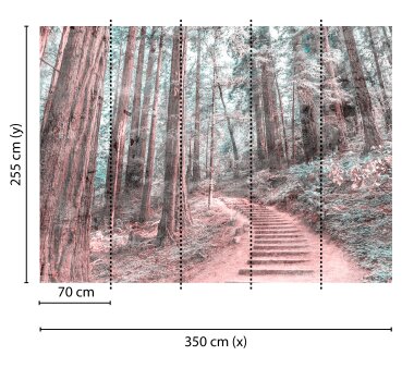 AS Creation Vlies-Fototapete FOREST WALK 118628, 5 Teile,...