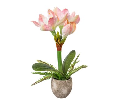 Kunstpflanze Amaryllis, Farbe rosa, inkl. Zement-Topf,...