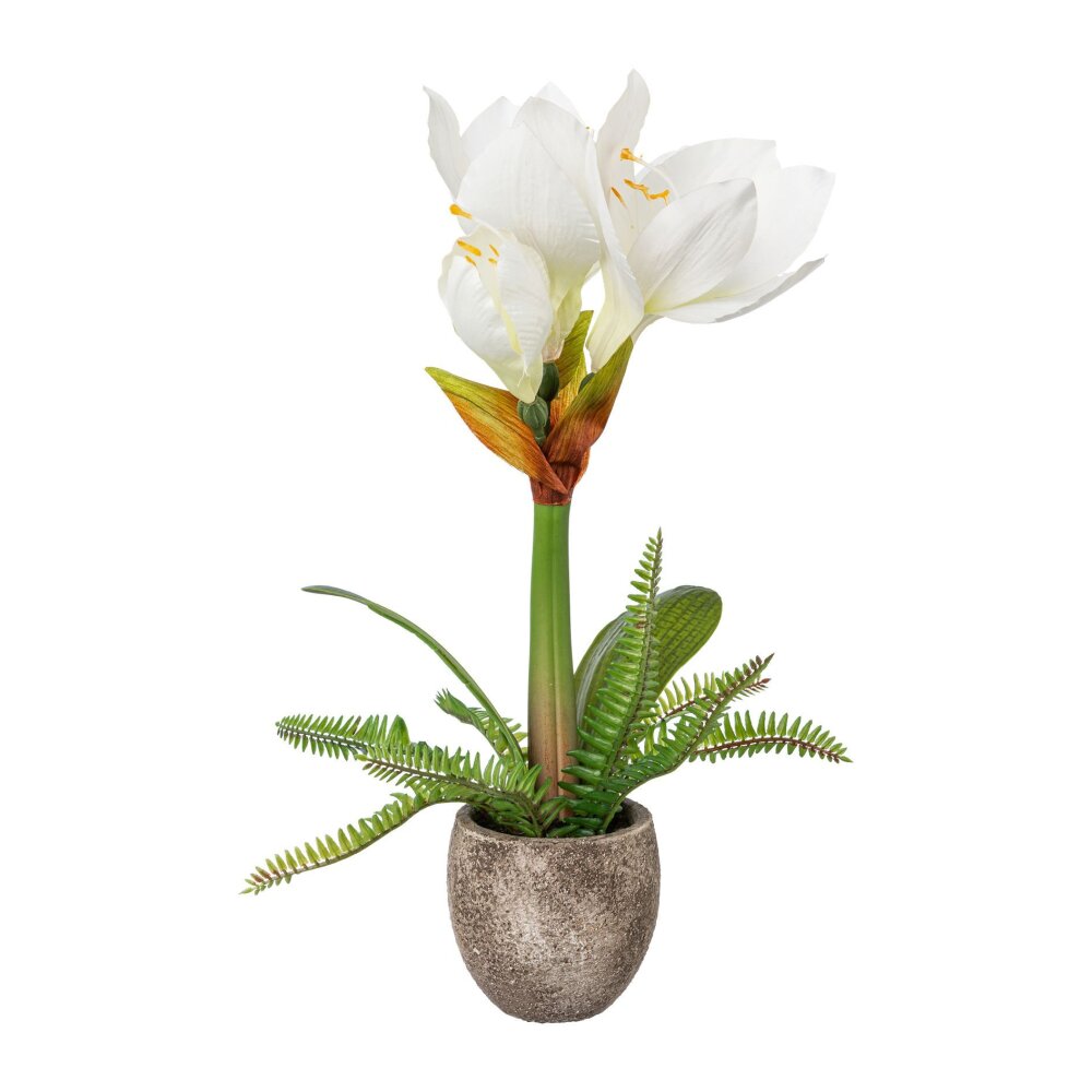 Kunstpflanze Amaryllis weiß, 35 cm - bei Wohnfuehlidee