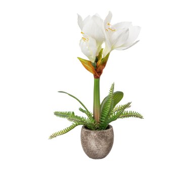 Kunstpflanze Amaryllis, Farbe weiß, inkl....