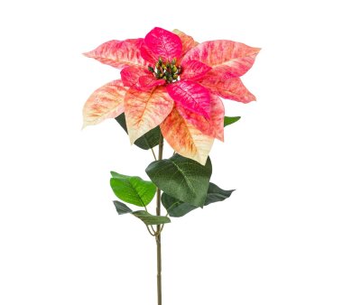 günstig Künstliche Poinsettie kaufen