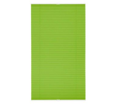 Lichtblick Plissee Klemmfix, ohne Bohren, verspannt - Grün 100 cm x 130 cm (B x L)