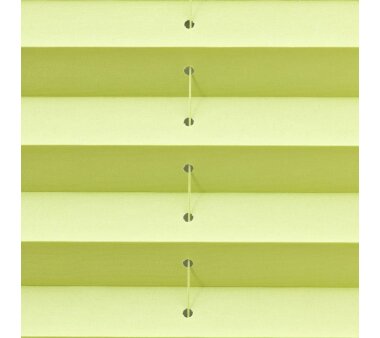 Lichtblick Plissee Klemmfix, ohne Bohren - Grün 80 cm x 200 cm (B x L)