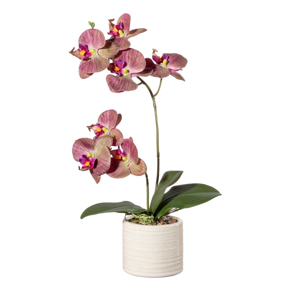 Kunstpflanze Phalenopsis (Orchidee) in Farbe: grün-lila kaufen