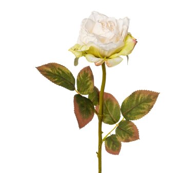 Kunstblume Rose, 6er Set, Farbe weiß, Höhe ca....