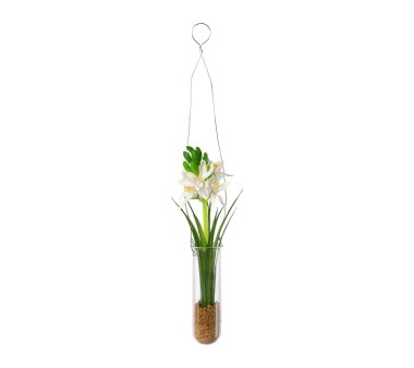 Kunstpflanze Hyacinthe, 2er Set, Farbe creme, inkl....