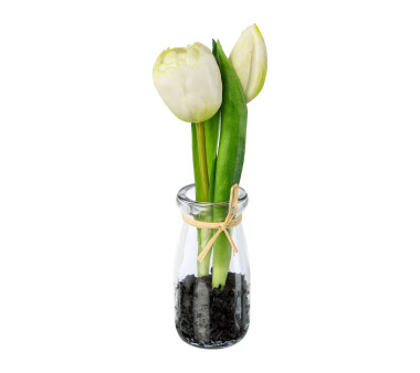 Kunstpflanze Tulpen, 4er Set, Farbe weiß, inkl....