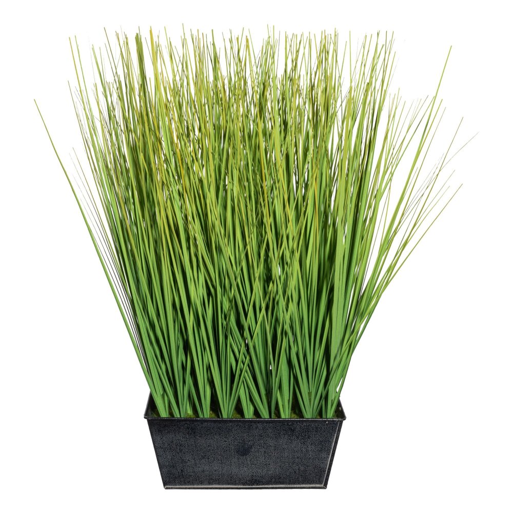 Kunstpflanze Gras in Farbe: grün kaufen