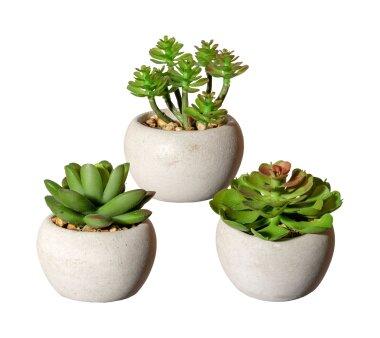Kunstpflanze Sukkulenten, 3er Set, grün, inklusive Zementtopf, Höhe ca.  8-10 cm online kaufen
