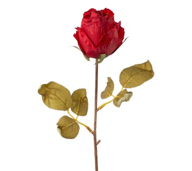 Kunstblume Rose, 5er Set, Farbe creme, Höhe ca. 60 cm ✔ online kaufen