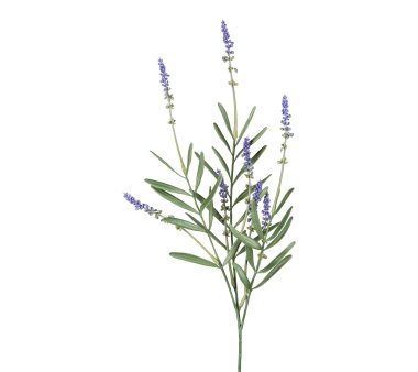 Kunstpflanze Lavendelbusch, 6er Set, Farbe lila,...